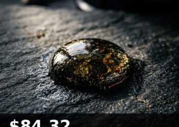 Oil Price Today 2026-08-31 - WTI/USD $84.32 - crude oil drilling rig at sunset